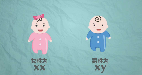 广州供卵助孕机构有吗,广州供卵靠谱吗