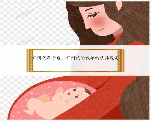 广州代孕平台，广州试管代孕的法律规定