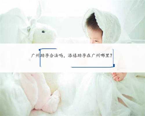 广州助孕合法吗，添禧助孕在广州哪里？