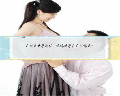 广州做助孕流程，添禧助孕在广州哪里？