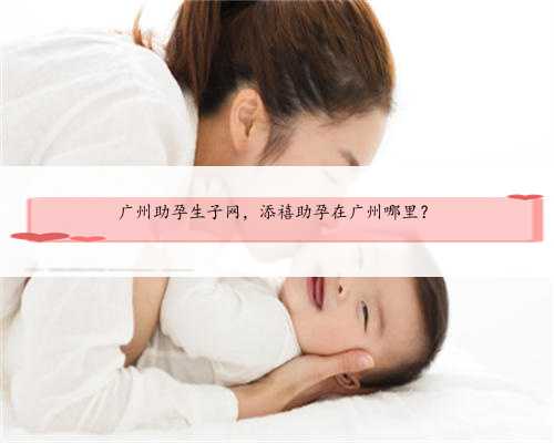 广州助孕生子网，添禧助孕在广州哪里？