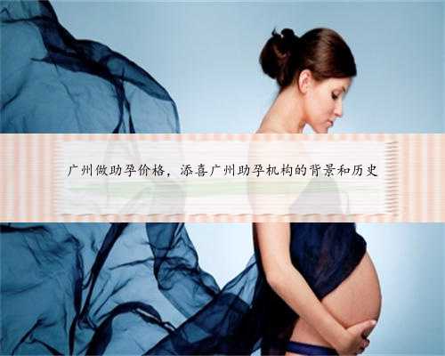 广州做助孕价格，添喜广州助孕机构的背景和历史