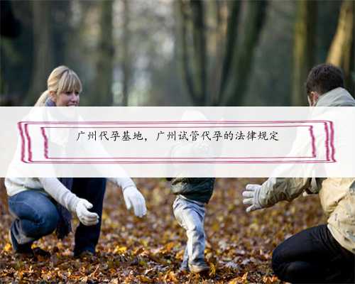 广州代孕基地，广州试管代孕的法律规定