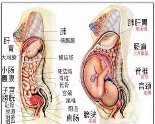 广州代孕网_广州借卵子生子成功率最高的国家