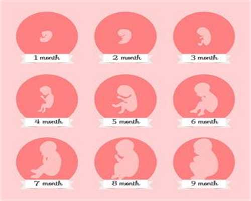 包成功代孕 -代孕价格多少-36周孕妇腹围标准
