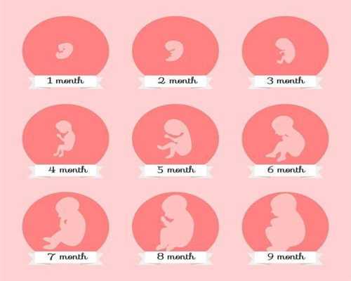 有找代孕的吗-代生小孩哪家公司好-14周检查胎盘