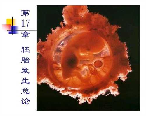 西藏国内代孕中心,西藏最有实力的代孕机构胎儿