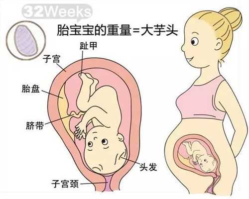 广州借卵子试管费用,广州找人代生孩子需要多少