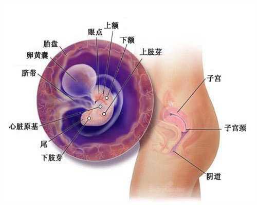 广州借卵子怀孕应该注意什么,孕妇贫血对母婴的