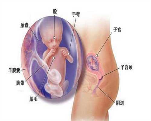 广州借卵子试管,剖腹产为什么要选在孕39周 在孕