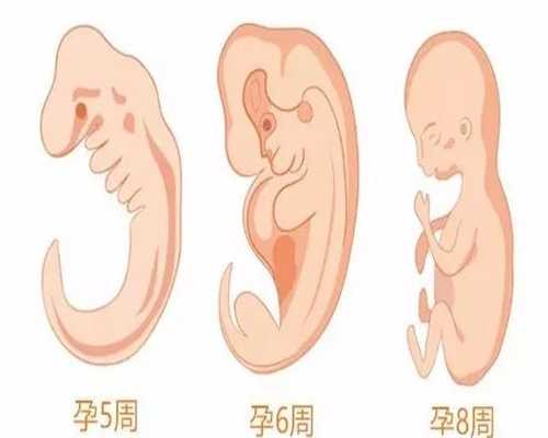 广州多次试管失败成功经验,广州代孕脐带：妈妈