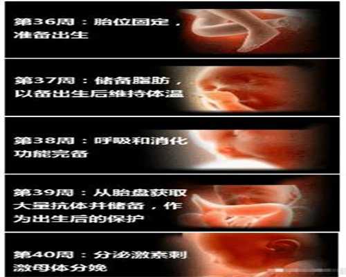 广州代怀网排名，新生儿红斑会自己好吗刚出生的宝宝长红斑怎么回事