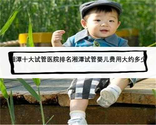 湘潭十大试管医院排名湘潭试管婴儿费用大约多少